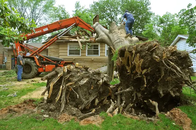Crew clearing a storm-damaged tree in Tulsa